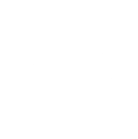 My Programming Class