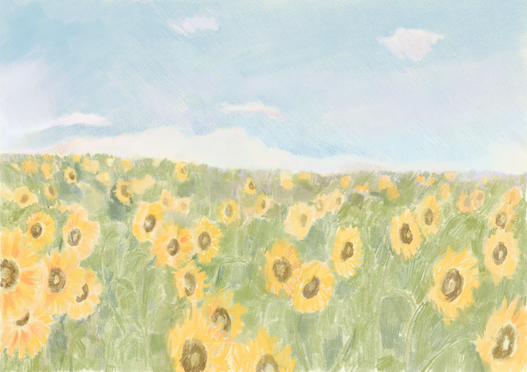 Field of Sunflowers Landscape